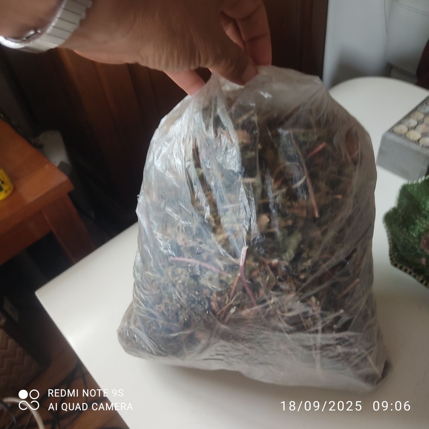 Ortelã seca ou fresaca bioologica para infusão , chá de ortelã