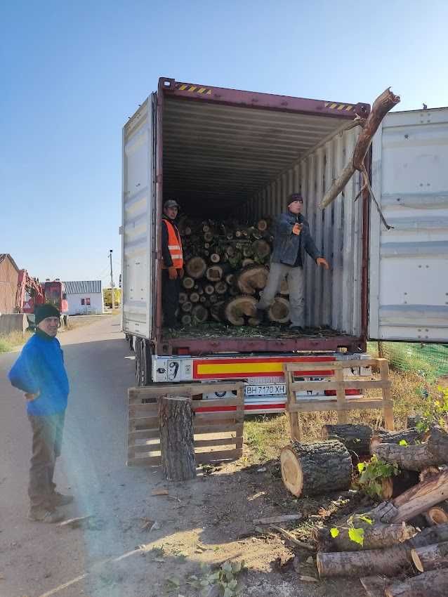 Дрова оптом с доставкой 1200 грн