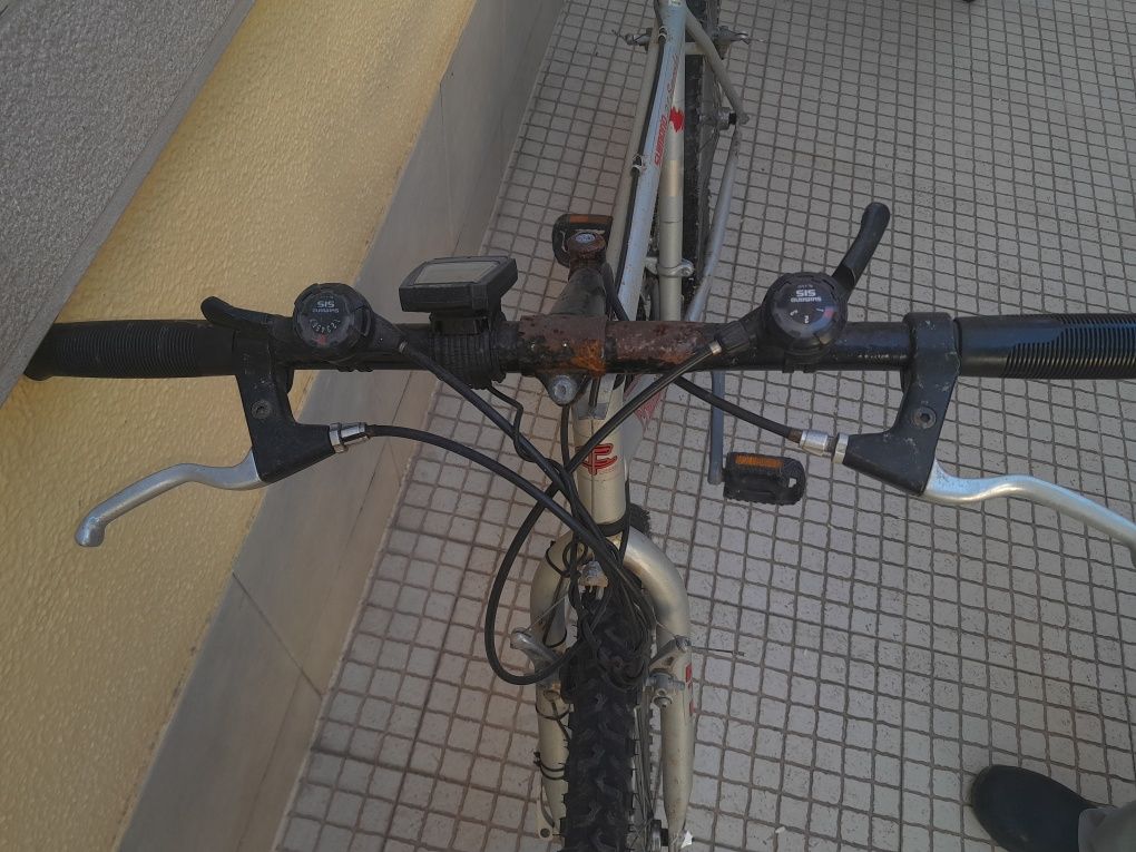 Bicicleta antiga