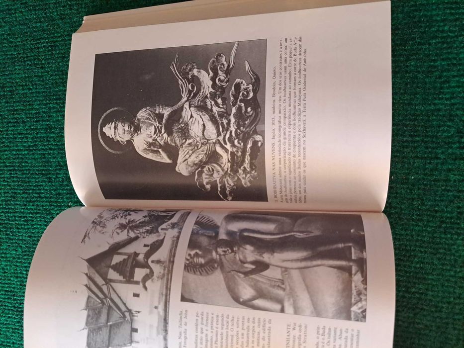 Buda e os seus ensinamentos - Samuel Bercholz e Sherab Chödzin Kohn