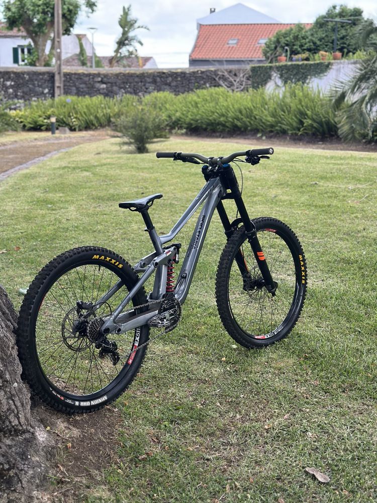 Scott gambler 920
