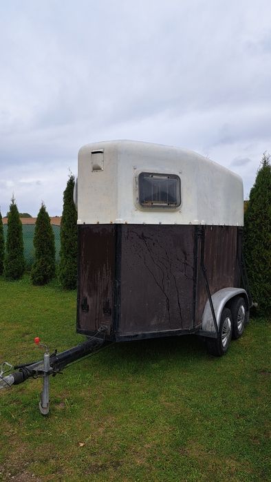 Sprzedam Ogierka,bydło