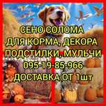 СОЛОМА ДЕКОР С ДОСТАВКОЙ ОТ 1 ШТ в тюках мешках (в корм, на подстилку)
