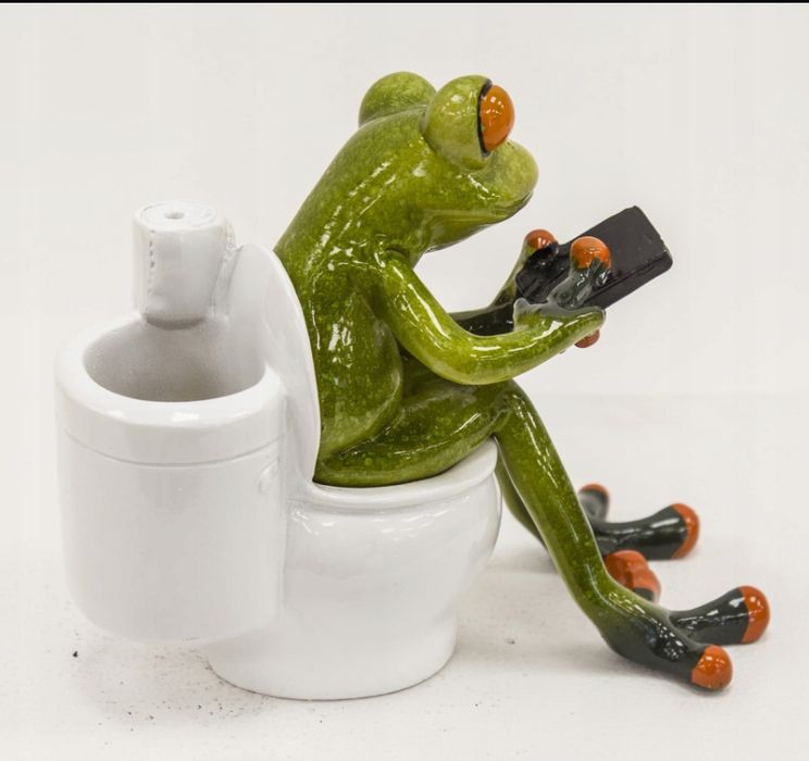 Figurka żaby na toalecie