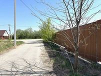 11 соток  в Новоселках ,Чабаны пригород Киева  рядом лес , озера