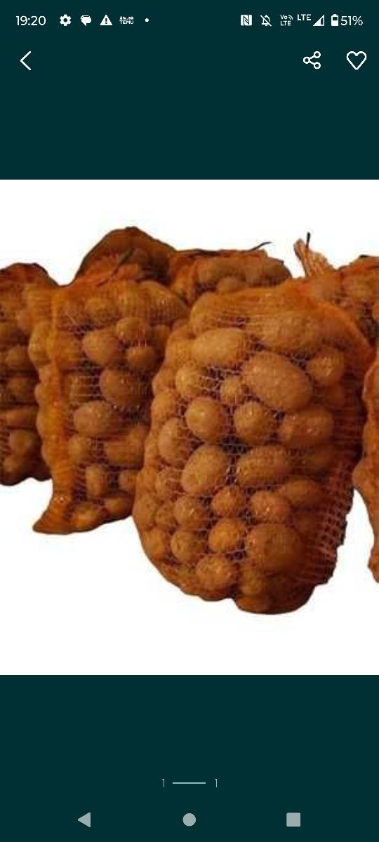 Ziemniaki bellarose drobne jak sadzeniaki worek 15kg