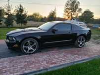 Ford Mustang Ford Mustang 3.7 v6 Automat