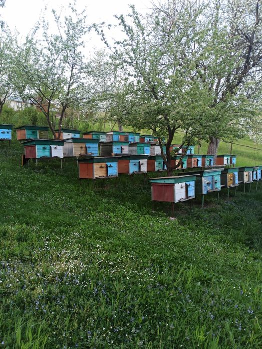 Приймаю замовлення