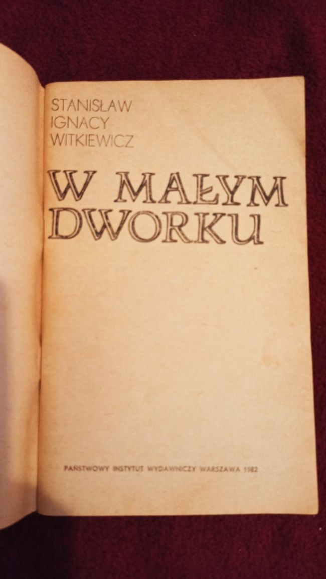 Książka W małym dworku - S. I. Witkiewicz