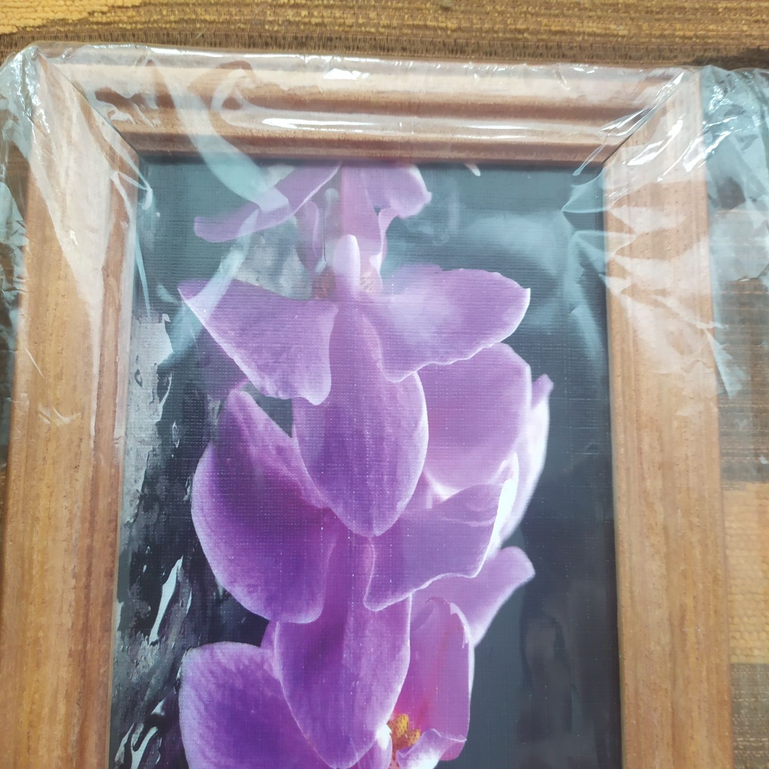 Obraz storczyk obrazek storczyki kwiaty kwiat