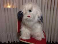 Boneco Cão Peluche