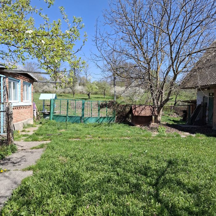 Продам будинок в селі Богданівці