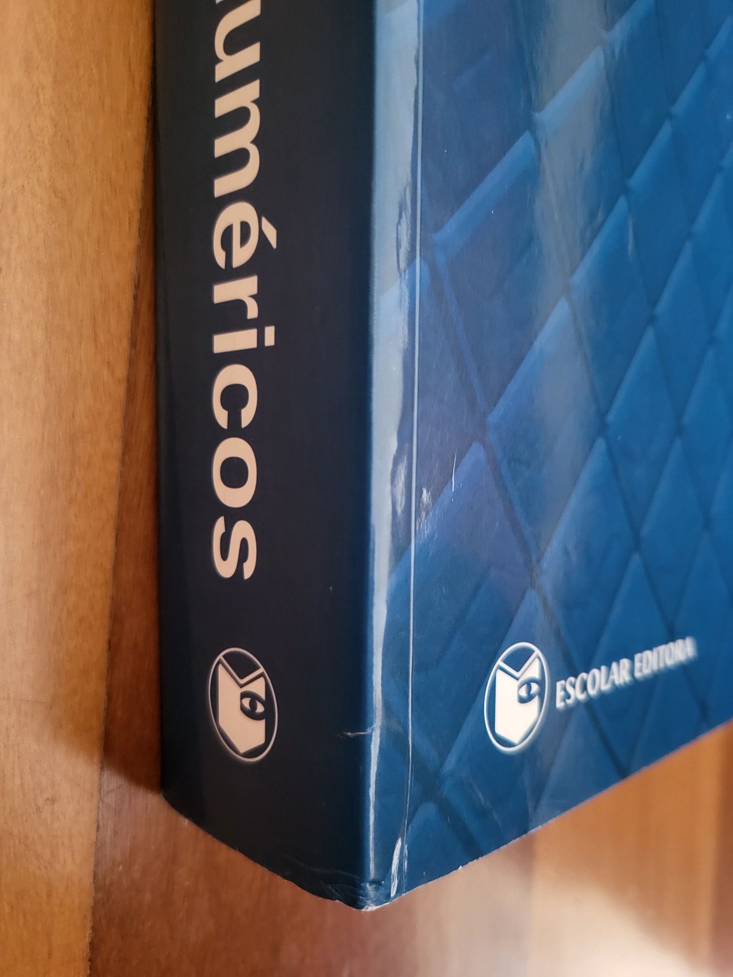 Livro | "Métodos Numéricos", de Heitor Pina