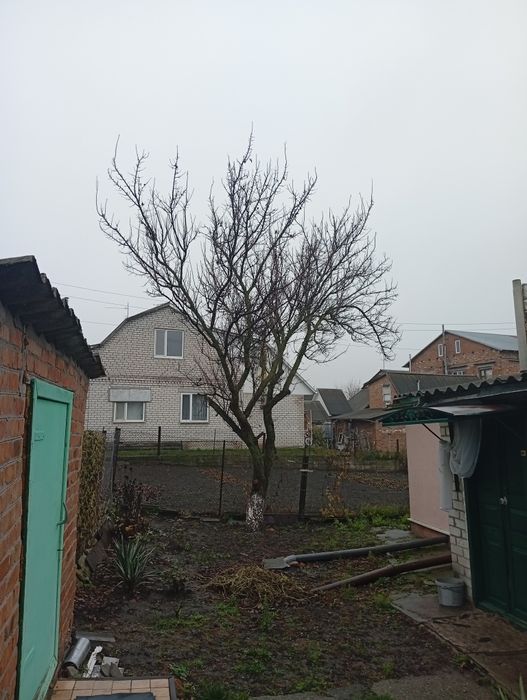 Віддам дерева на дрова