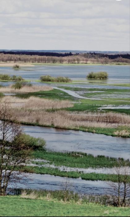 Dzialka siedliskowa nad Biebrzą . Goniądz .