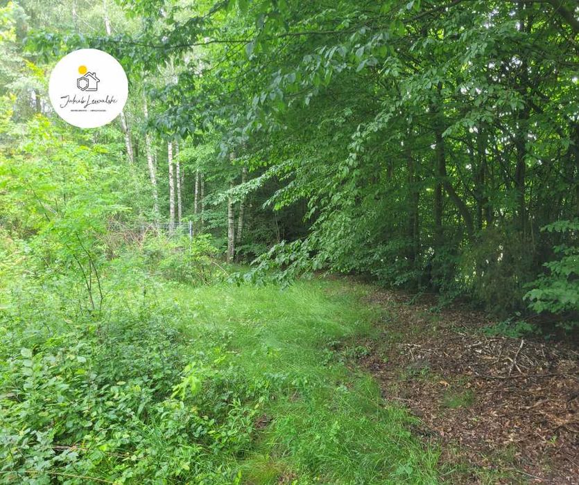 Wyjątkowa działka z domkiem i stawem – Ryczołek