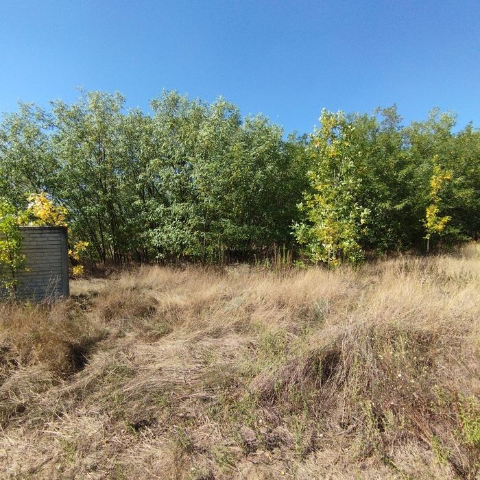 Чарівна котеджна діляночка примістя Дніпра с.Новоолександрівка