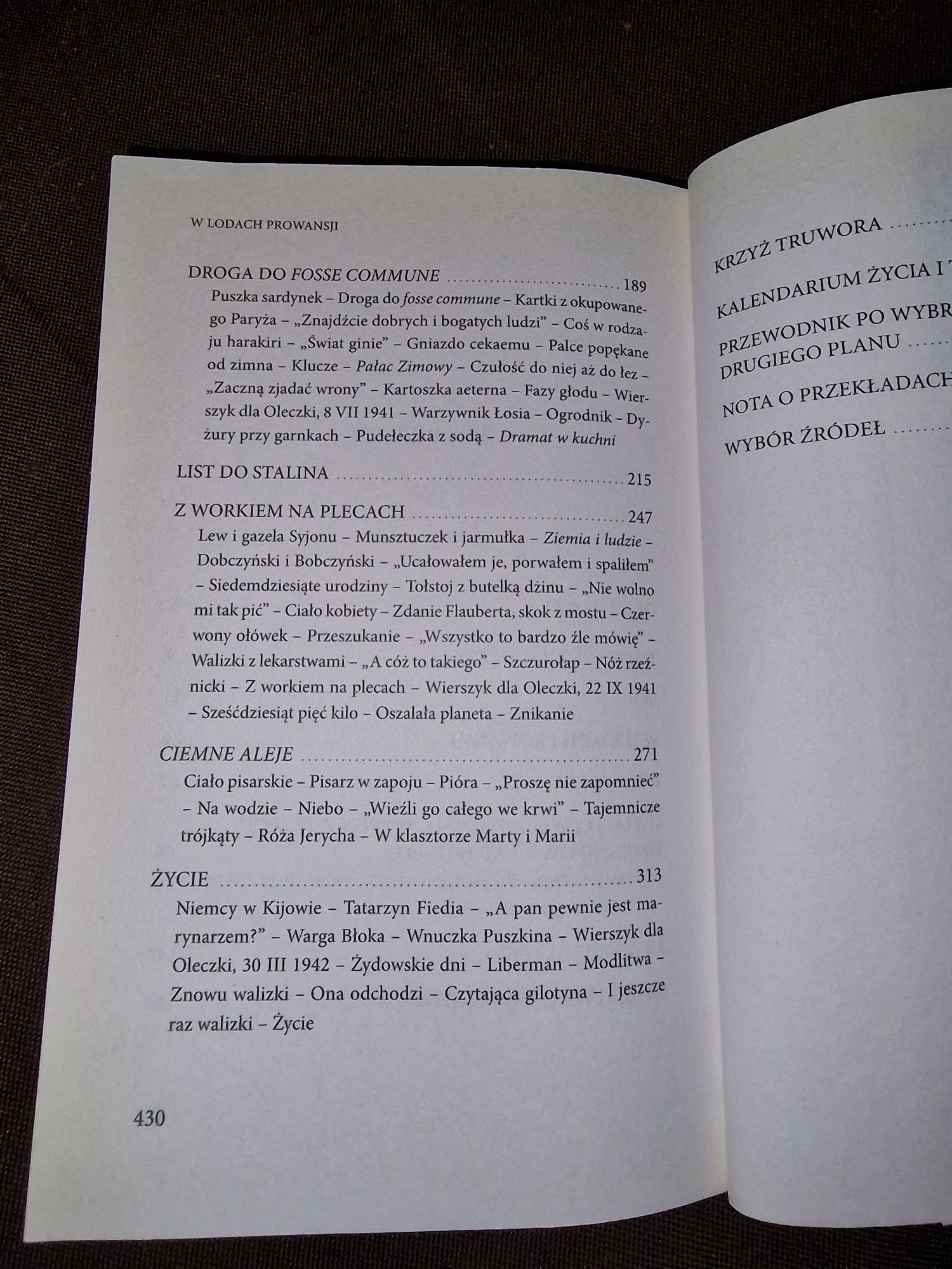 W lodach Prowansji Renata Lis