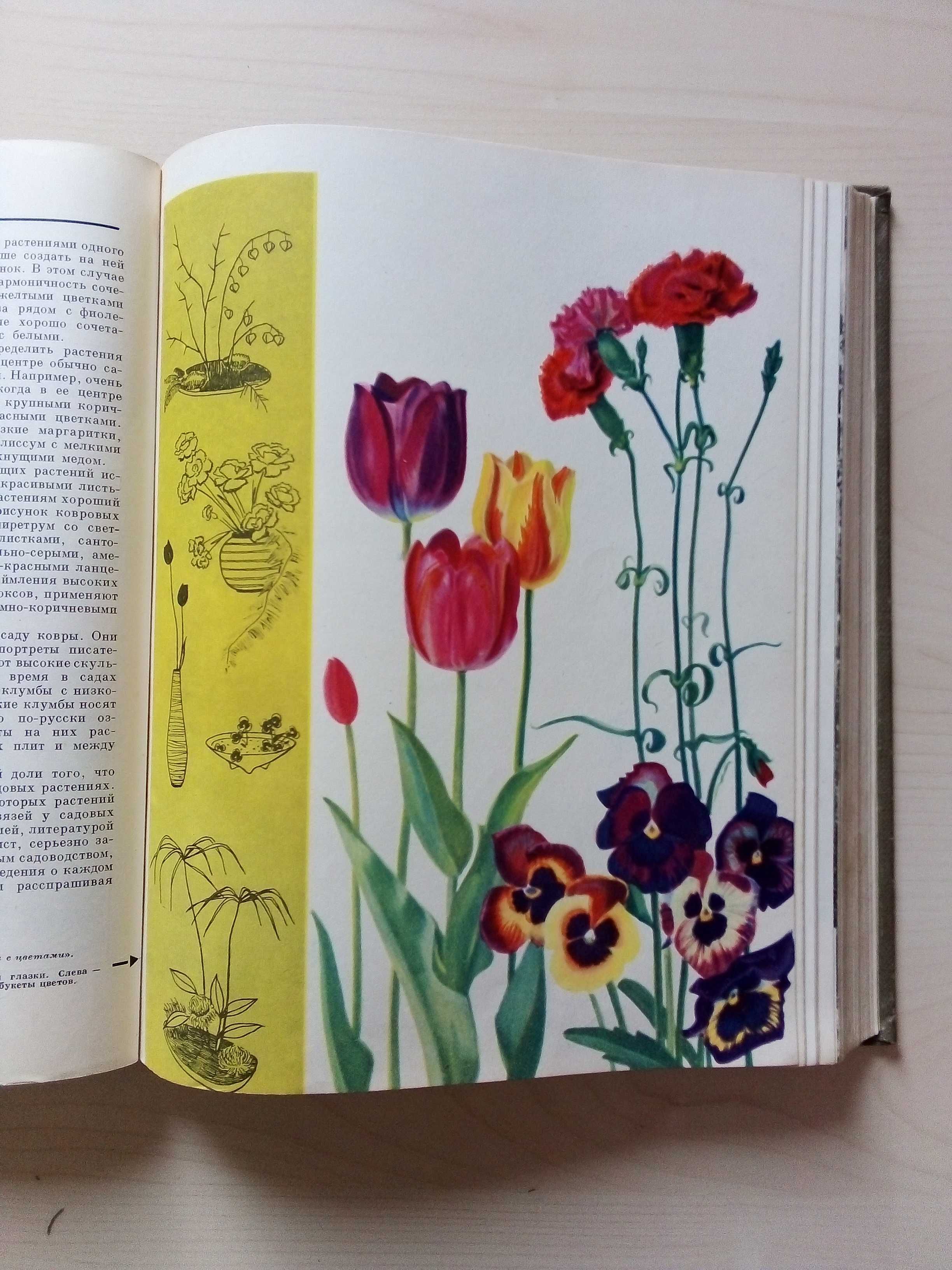 Детская энциклопедия 1965 г. тома 2 и 4
