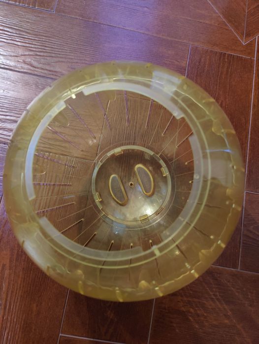 Bola de corrida  para Porquinho-da-India