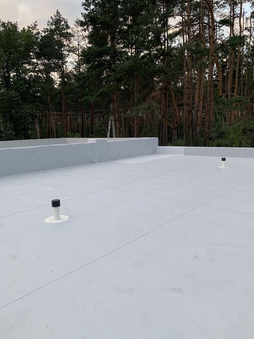 Будинок з великою ділянкою біля лісу Прорізна Буча