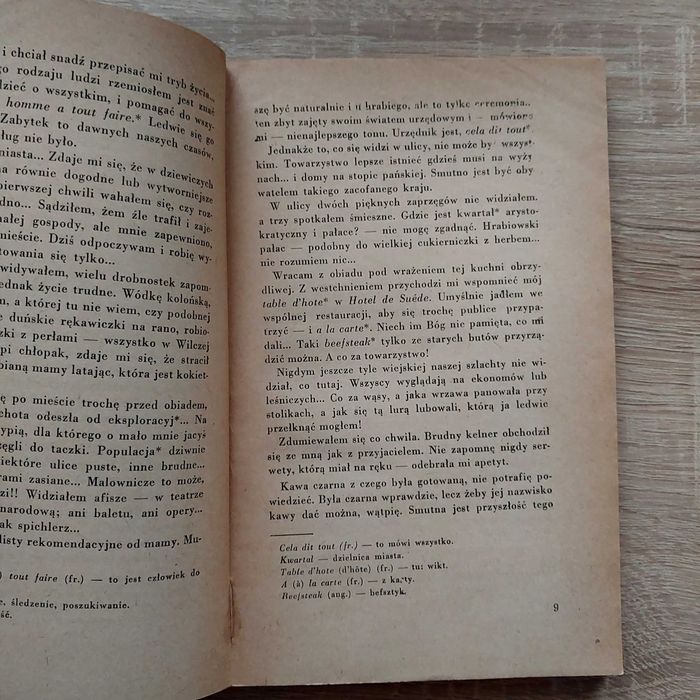 Pamiętnik panicza  Kraszewski