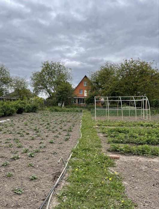 Оренда будинку в с. Требухів 20км від Києва.