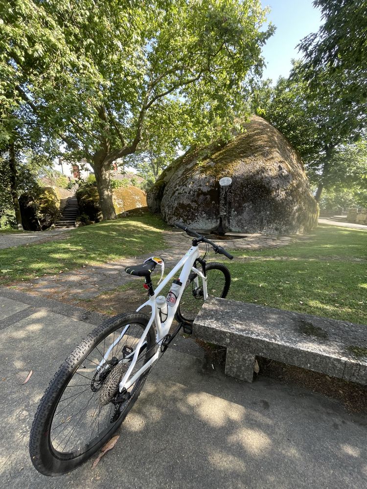 Rockrider race 700