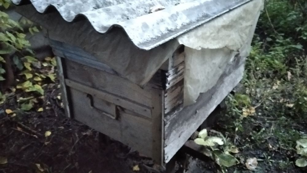 Продам вулики терміново