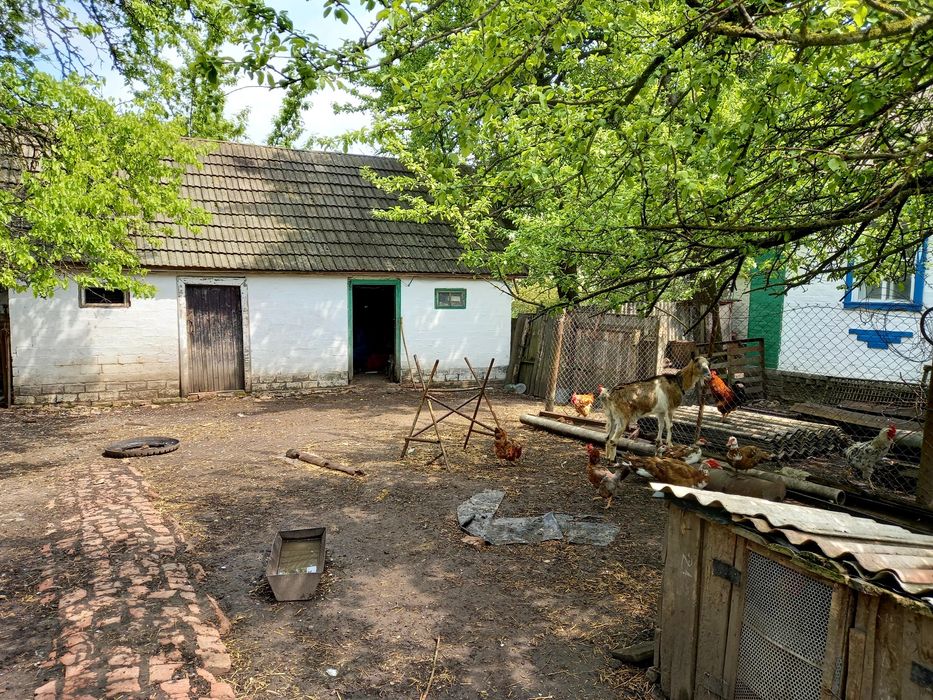 Продаж булинку та земельної ділянки