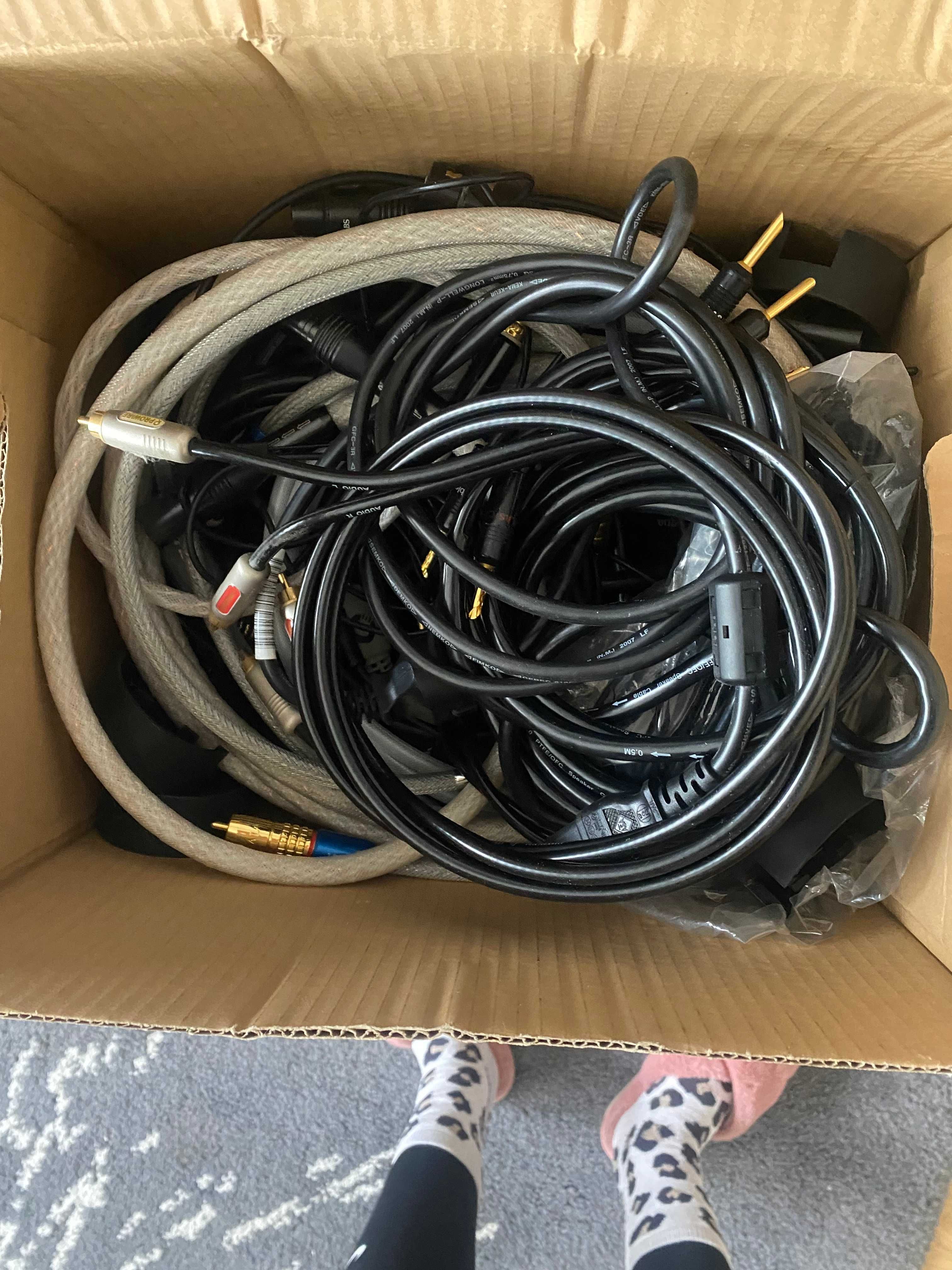 Carry Audio Physic/Warszawa
