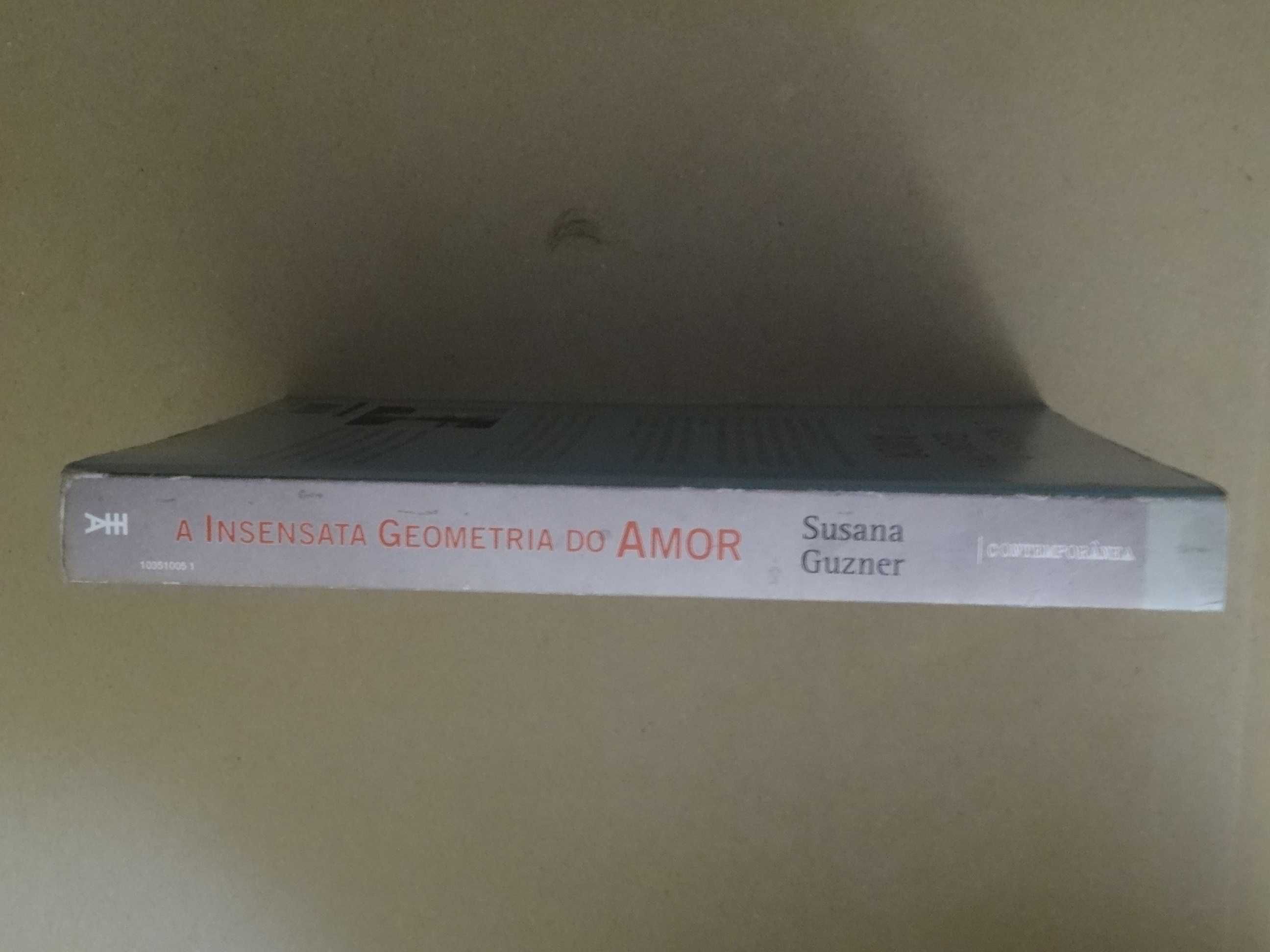 A Insensata Geometria do Amor de Susana Guzner