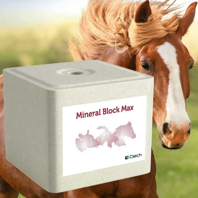 lizawka solna mineral block max paleta 1200 kg sól paszowa NaCL Multi