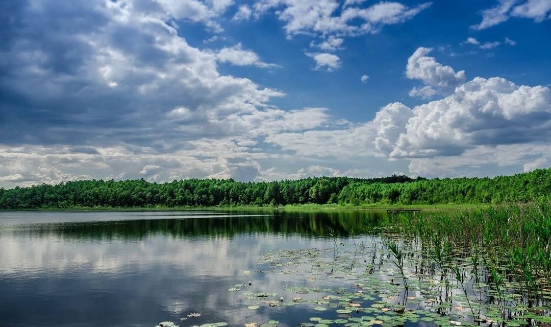 Земельна ділянка біля озера