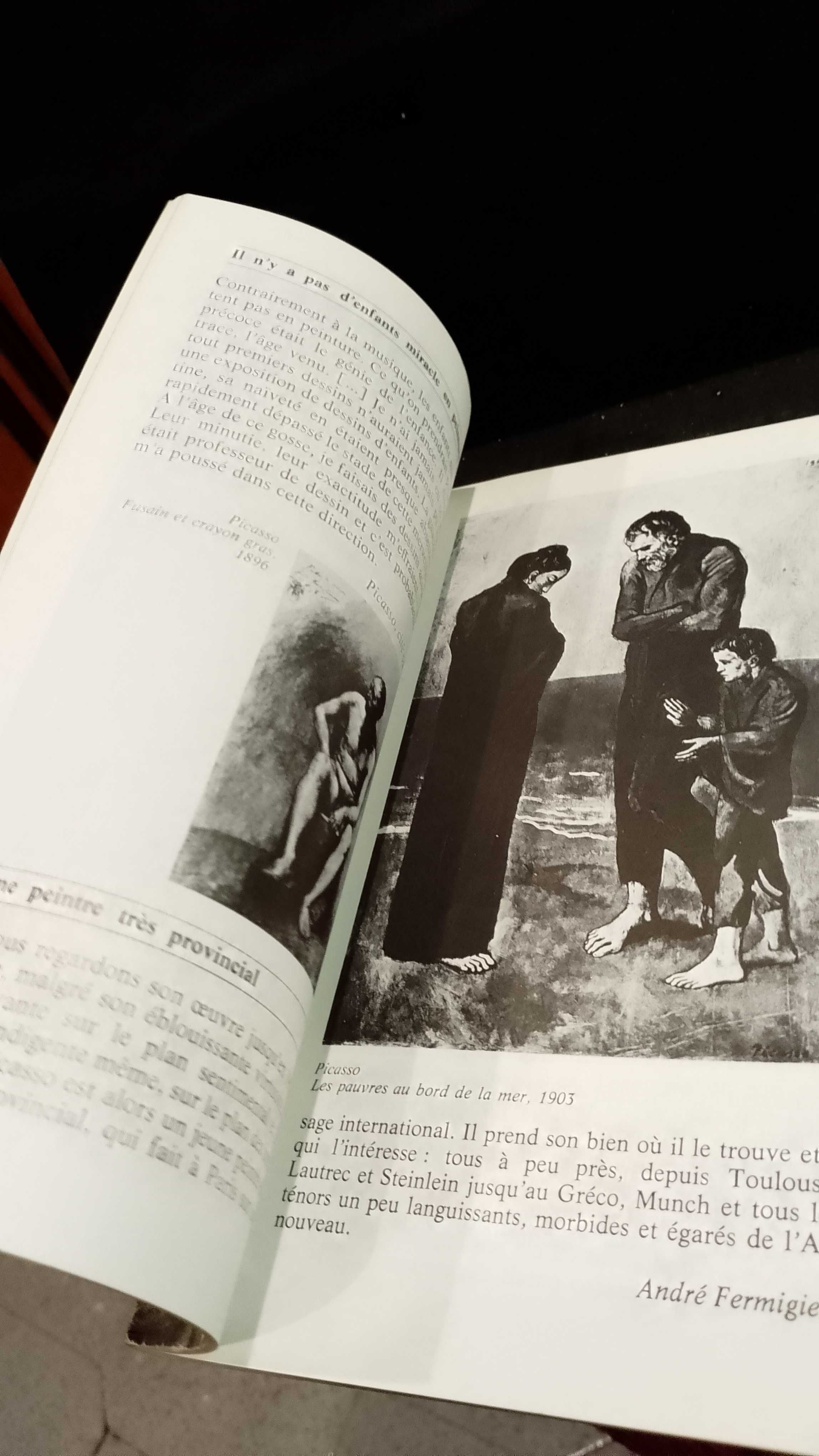 Picasso - Histoire D'une Recherche