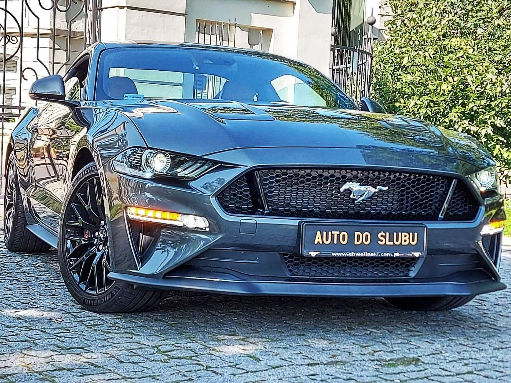 Auto do ślubu - Mustang VI 2020r