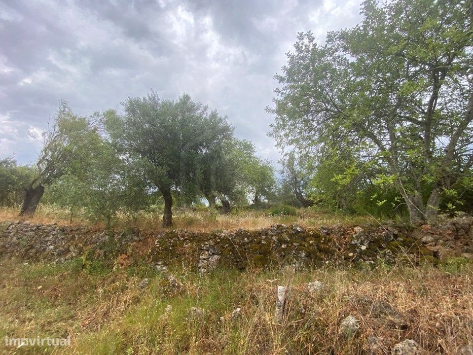 Lote de terreno rústico com a área total de 610m2, Salir, Algarve