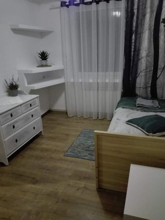 Wynajmę dom w Maciejowie