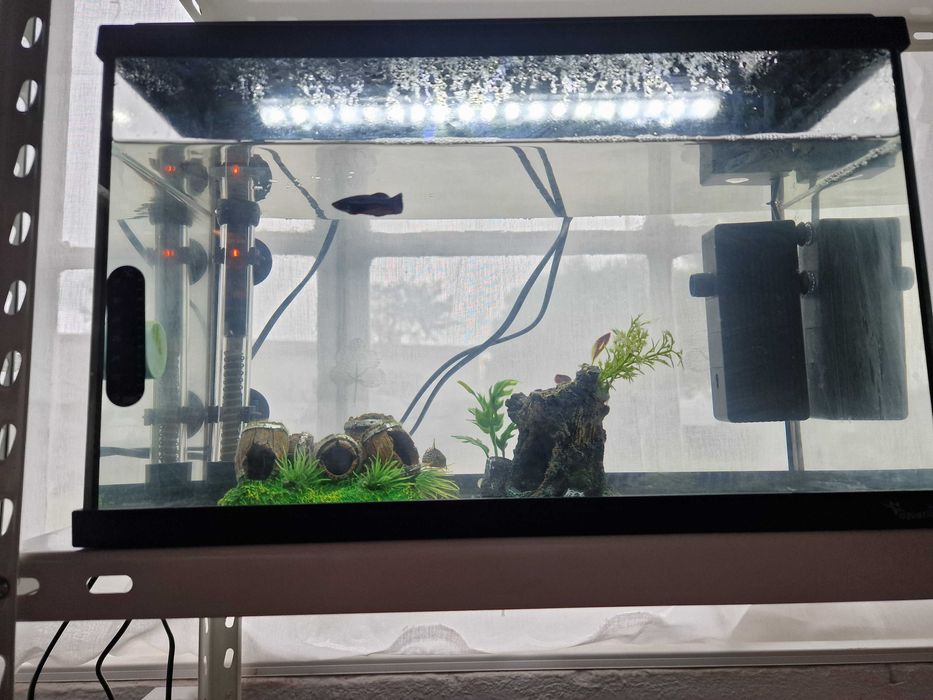 2 Aquários disponíveis