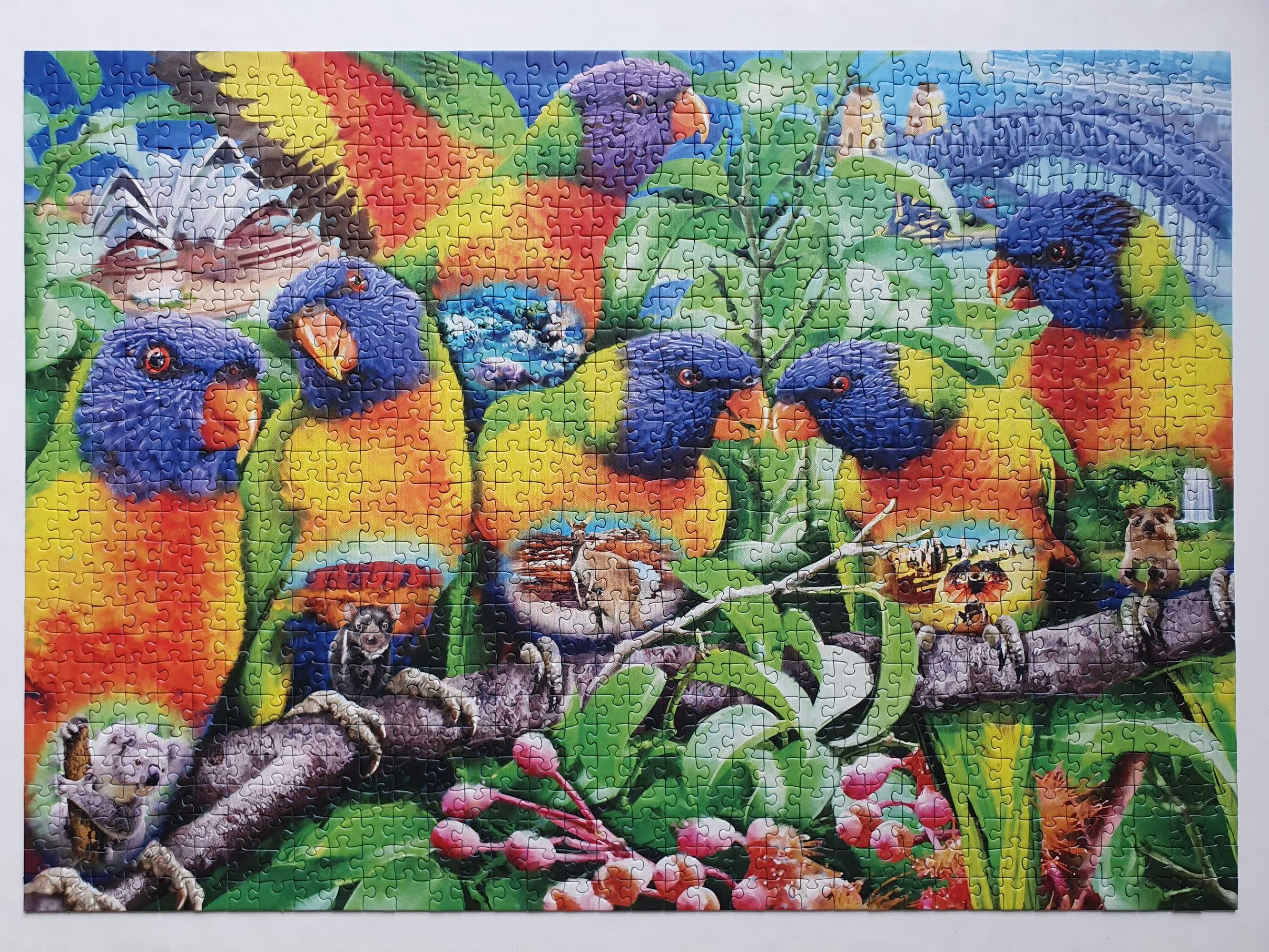 Puzzle Ravensburger 1000 papugi