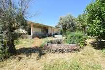 Quinta em  Aldeia da Mata -  Castelo Branco