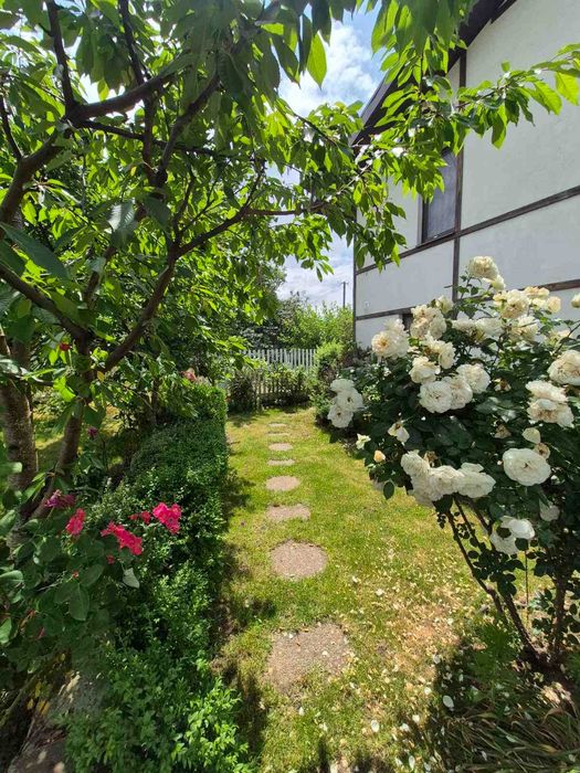 Продам дачу, будинок, с. Любимiвка, с. Перше травня