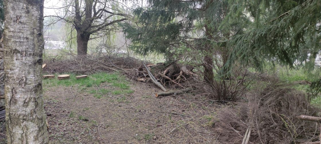 Gałęzie drewno opal gałęziówka