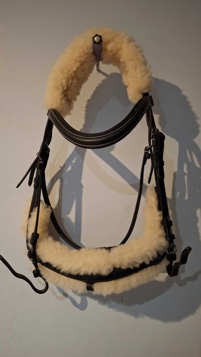 Ogłowie kavalkade Ivy cob