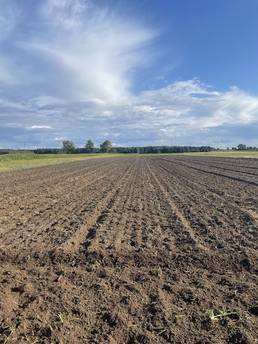 Orka , talerzowanie  , dłutowanie , głęboszowanie