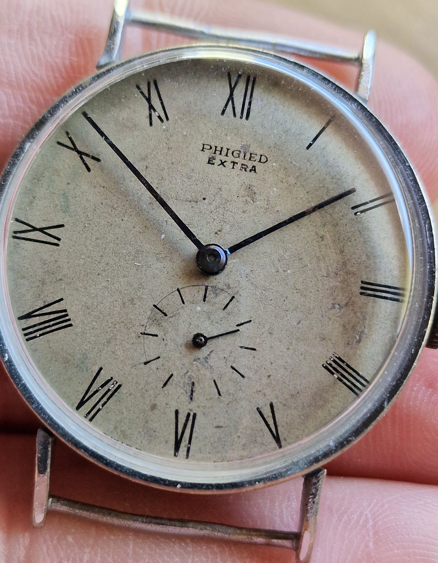 Phigied Extra Swiss