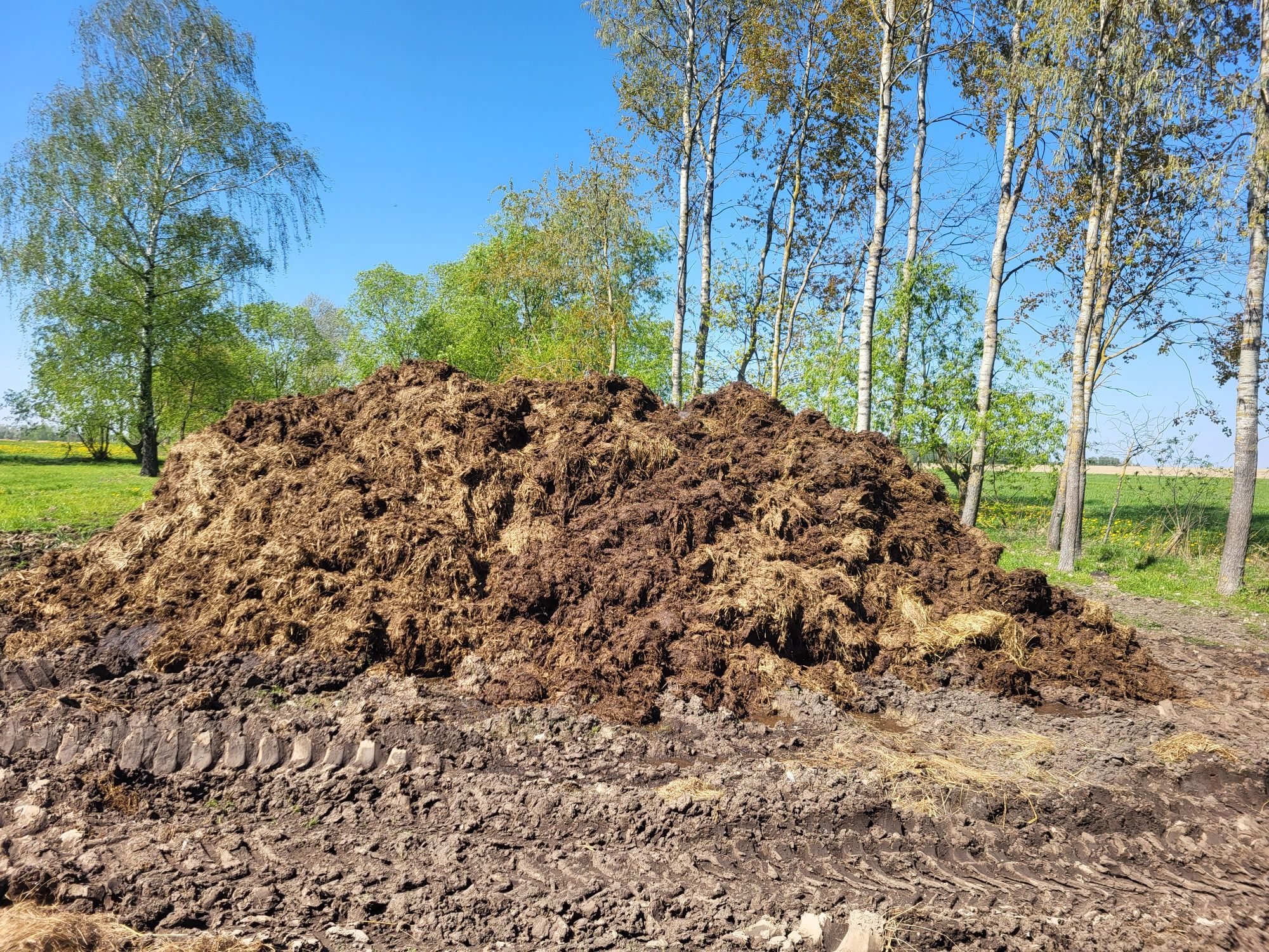 Sprzedam obornik lub zamienię na słome