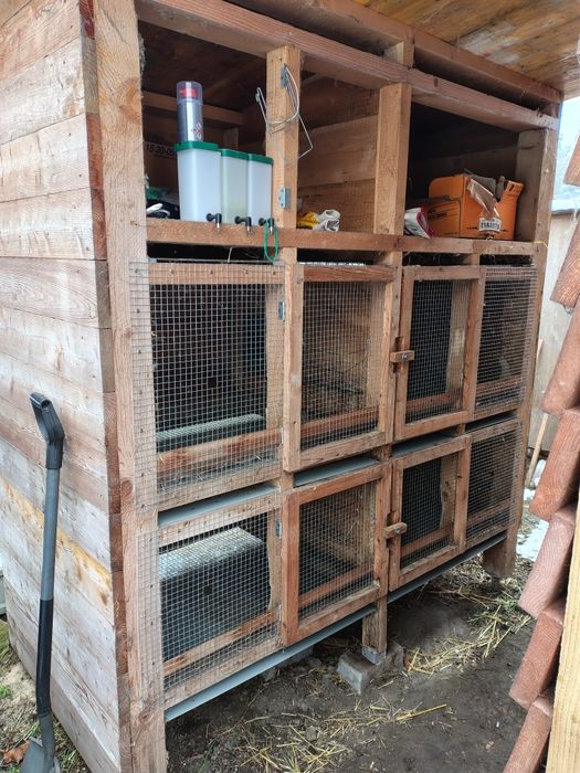 Klatka dla królików