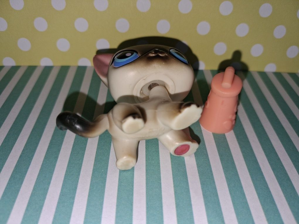 Littlest Pet Shop LPS unikatowy kot Shorthair #5 pop