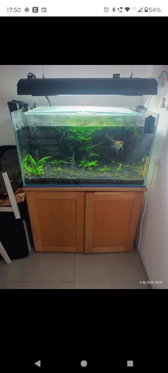 Akwarium 260L  pełen zestaw